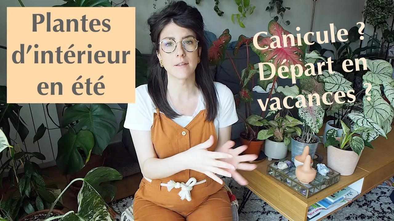 
Plantes d'intérieur en été - Entretien et arrosage durant la canicule ou pendant les vacances !