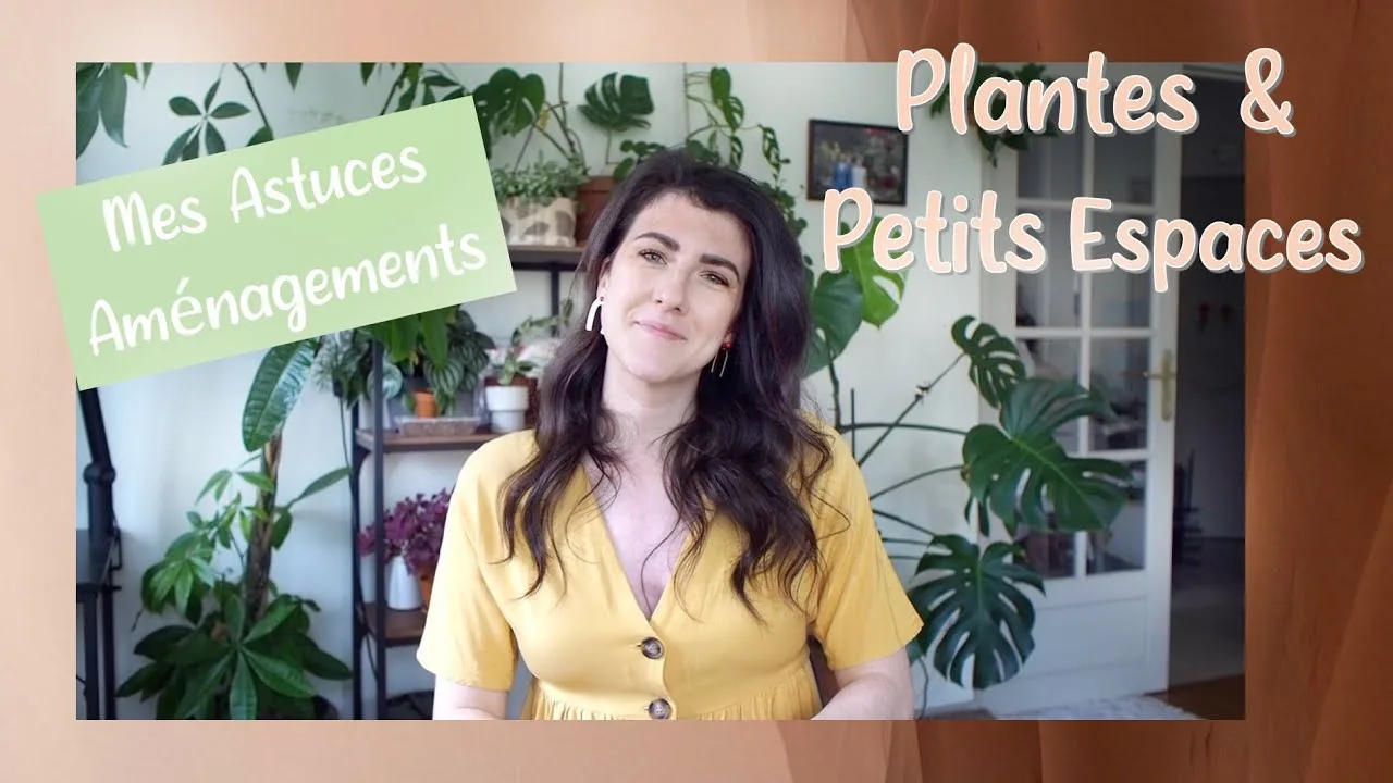 Plantes & Petits Espaces : Végétaliser son intérieur