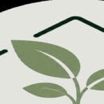 Guide pratique : Comment arroser ses plantes d’intérieur : le guide complet