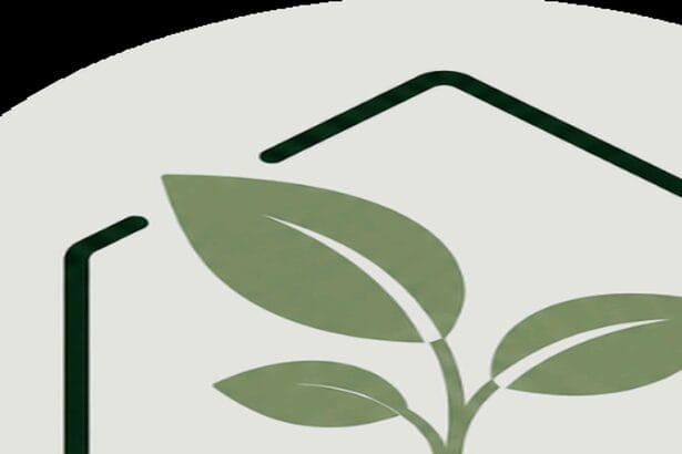 Guide pratique : Comment arroser ses plantes d’intérieur : le guide complet