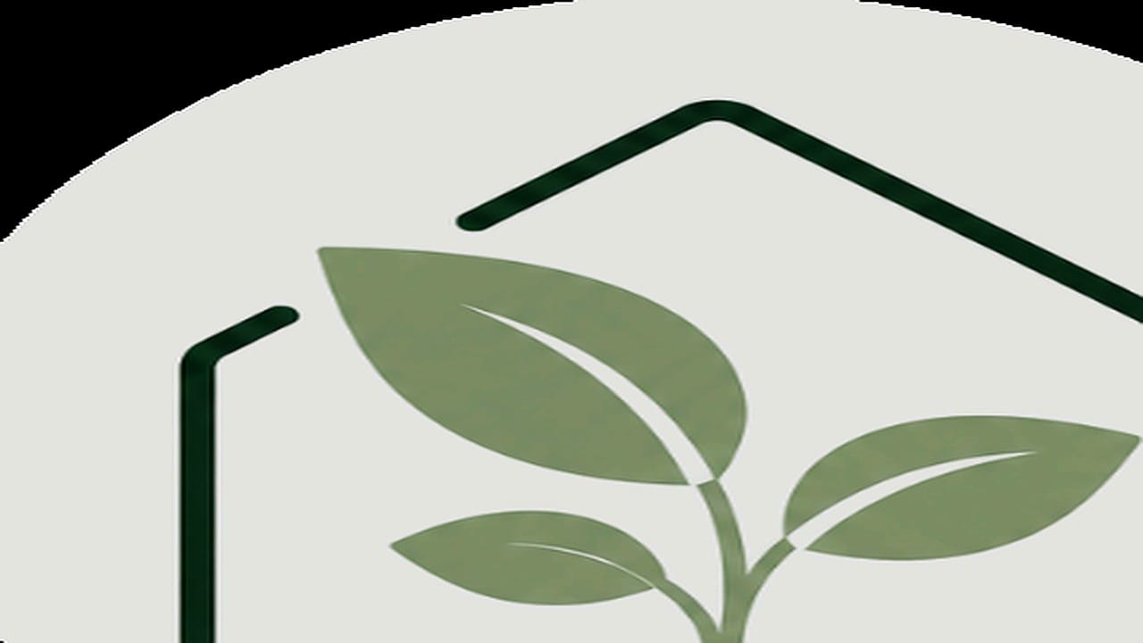 Guide pratique : Comment arroser ses plantes d’intérieur : le guide complet