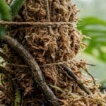 Guide pratique : Quel terreau choisir pour ses plantes d’intérieur ?