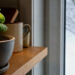 Guide pratique : Décorer son salon avec des plantes d’intérieur
