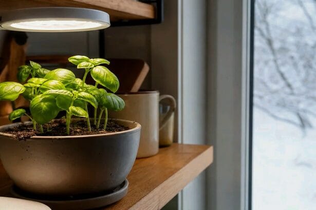 Guide pratique : 12 plantes idéales pour une salle de bain humide