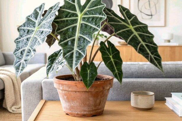 Guide pratique : Lombricomposteur d’appartement sans odeur : guide