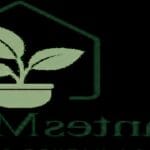 Guide pratique : Marc de café : comment l’utiliser comme engrais