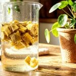 Guide pratique : Créer un coin plantes réussi dans un petit appartement : 7 astuces déco