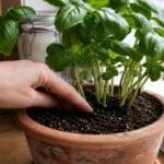 Guide pratique : Jardinière sur pied pour balcon : choisir la bonne taille et bien la planter