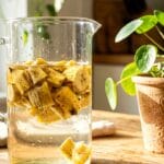 Guide pratique : Pot en terre cuite ou en plastique : lequel choisir pour vos plantes d’intérieur ?