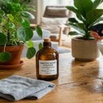 Guide pratique : Plantes non toxiques pour chat et faible lumière : choix réalistes pour l’appartement
