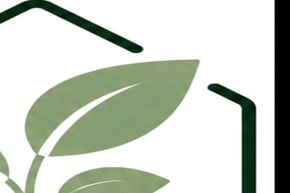Guide pratique : Plante retombante pour soleil direct : les espèces qui supportent vraiment la lumière
