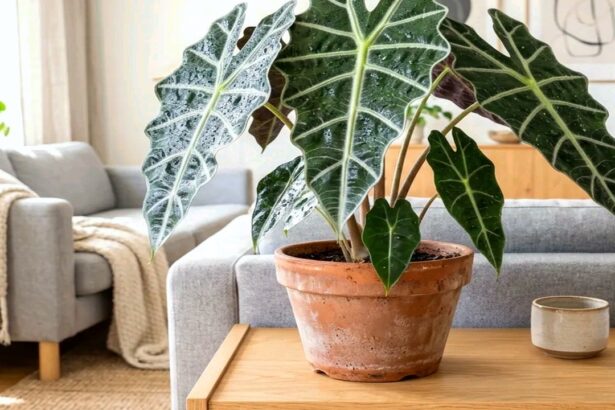 Guide pratique : Plantes d&rsquo;Intérieur Increvables : 7 Astuces Ultime pour Débutants