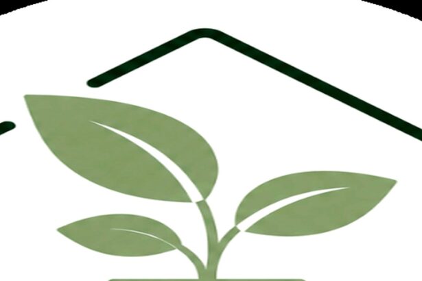 Guide pratique : Plantes d&rsquo;Intérieur Increvables : 5 Secrets pour Sauver vos Pots