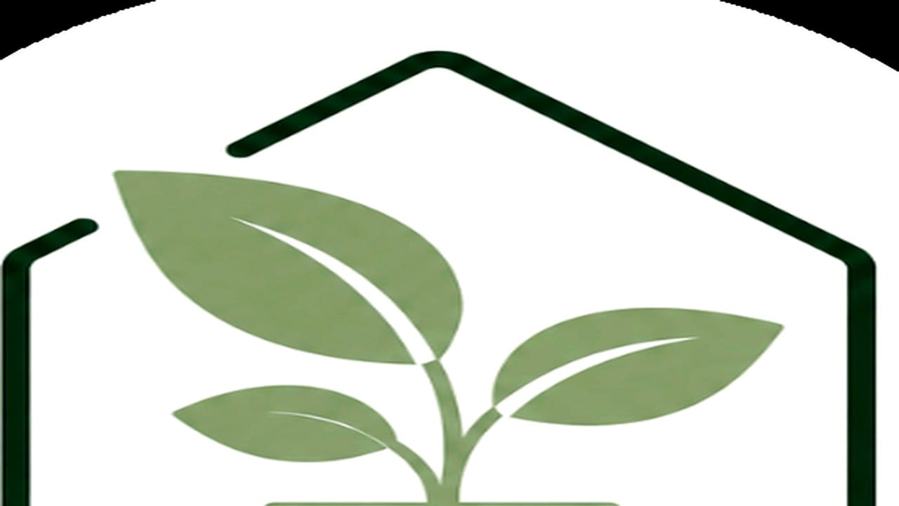 Guide pratique : Plantes d&rsquo;Intérieur Increvables : 5 Secrets pour Sauver vos Pots
