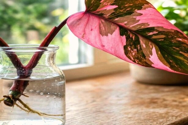 Guide pratique : Urbalive Lombricomposteur Design : 3 Secrets pour Sauver vos Déchets