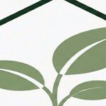 Guide pratique : Plante Grimpante : 5 Secrets pour Sauver vos Tiges