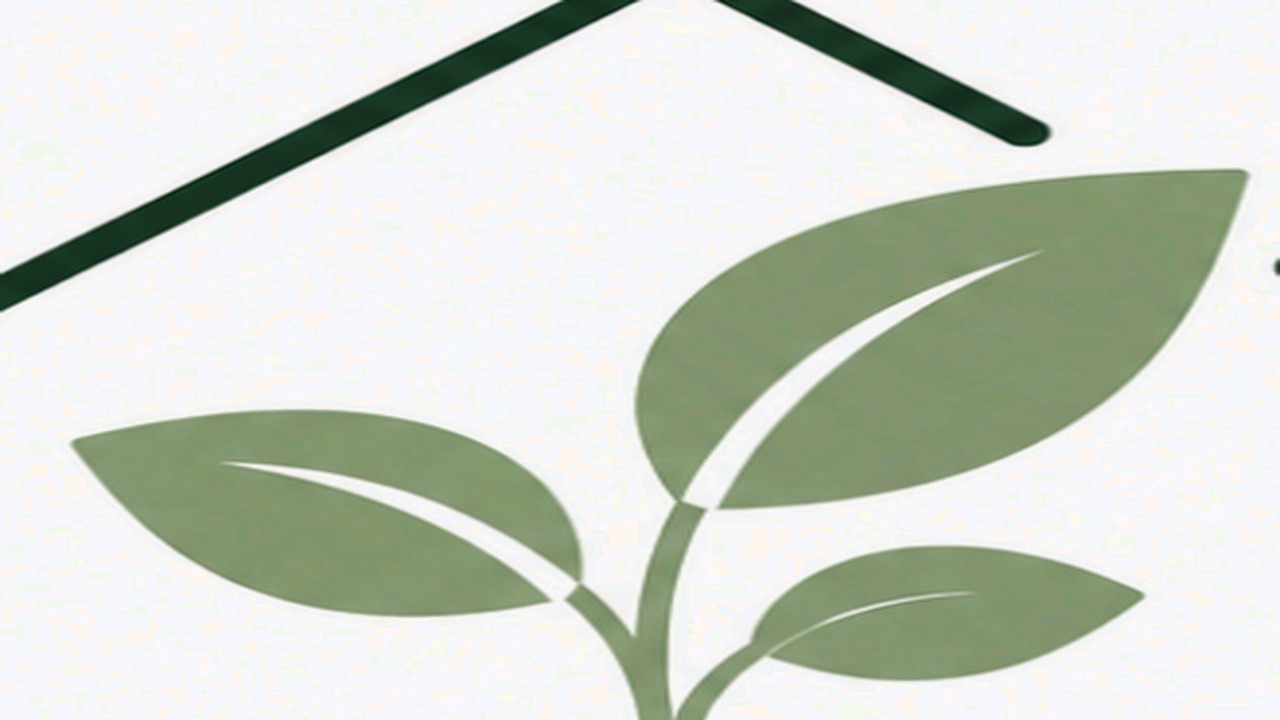 Guide pratique : Plante Grimpante : 5 Secrets pour Sauver vos Tiges